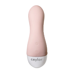 CEYLOR Secret Lover Mini Vibrator