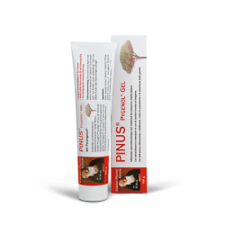 PINUS PYGENOL Künzle Gel Tb 100 g