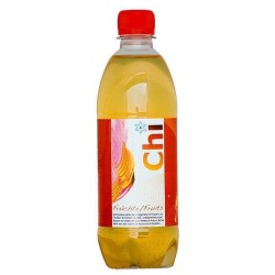SOYANA Früchte-Chi live Petfl 500 ml