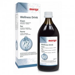 MORGA WELLNESS Drink Eisen 380 ml