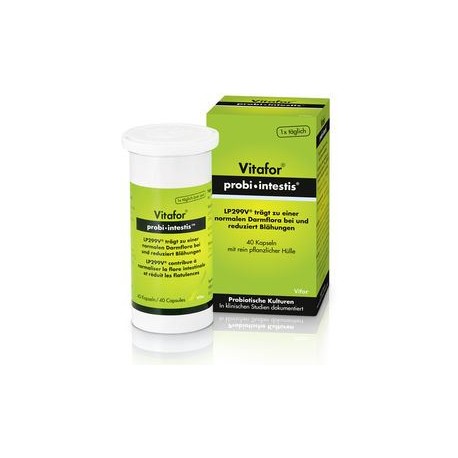 VITAFOR probi-intestis Kaps 40 Stk