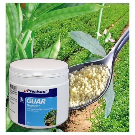 PROVISAN Guar Gran refill Btl 300 g