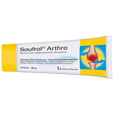 SOUFROL Arthro Creme Tb 60 g