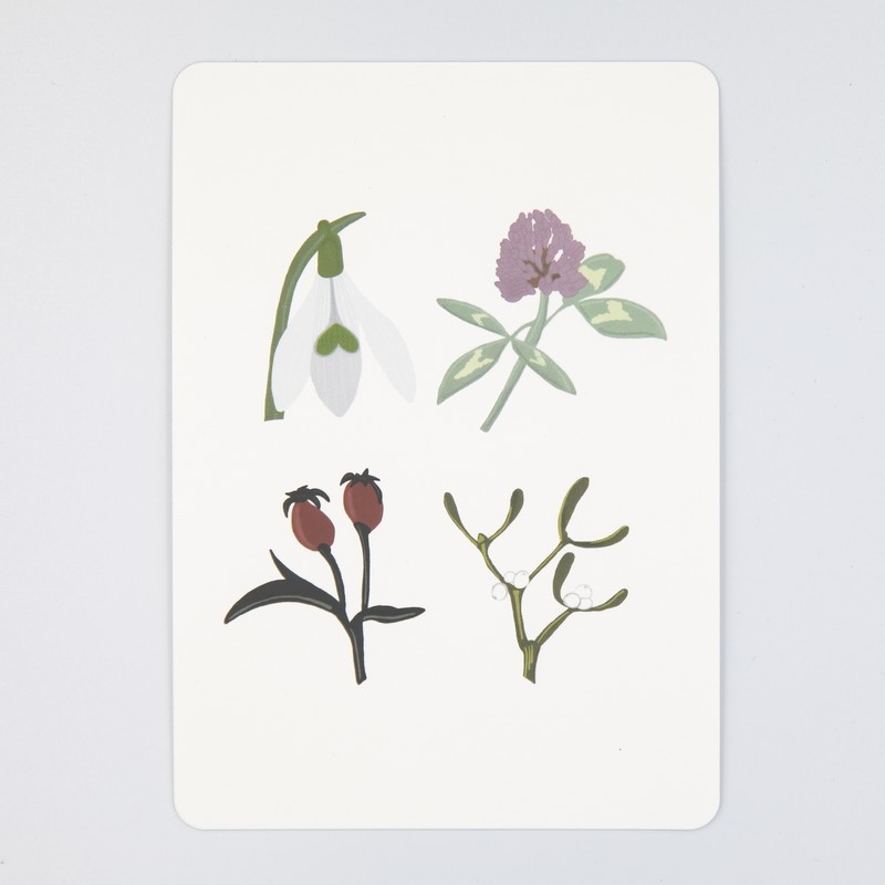 Mondtage Postkarte Blumen Jahreszeiten 1 Stk. - Online kaufen - Bou...