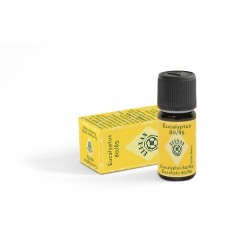 ELIXAN Eucalyptus 80/85 Öl 10 ml