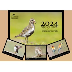 Fotokalender 2024 Vögel A3, Matthias Villiger