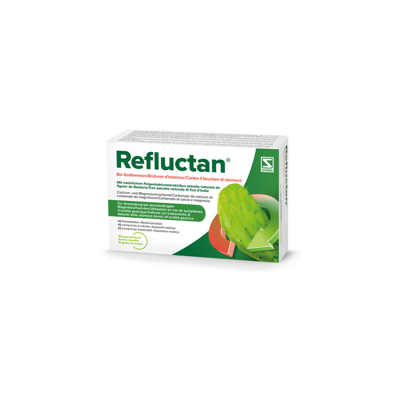 REFLUCTAN Kautabl Minze Blist 48 Stk - Online kaufen - Verdauung