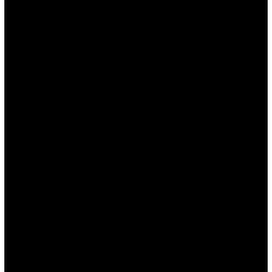 ELSA Kissenbezug 50x70cm Velours schwarz